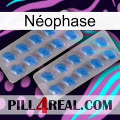 Néophase 23